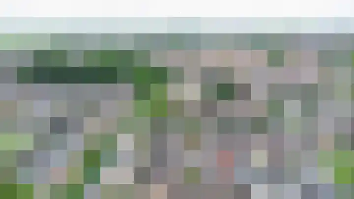 Tureluur 74 Genemuiden thumbnail 7