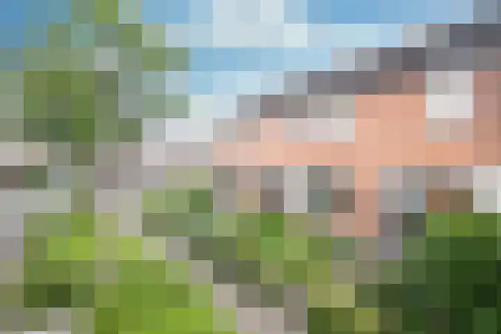 Tureluur 74 Genemuiden thumbnail 8