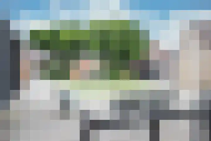 Tureluur 74 Genemuiden thumbnail 9
