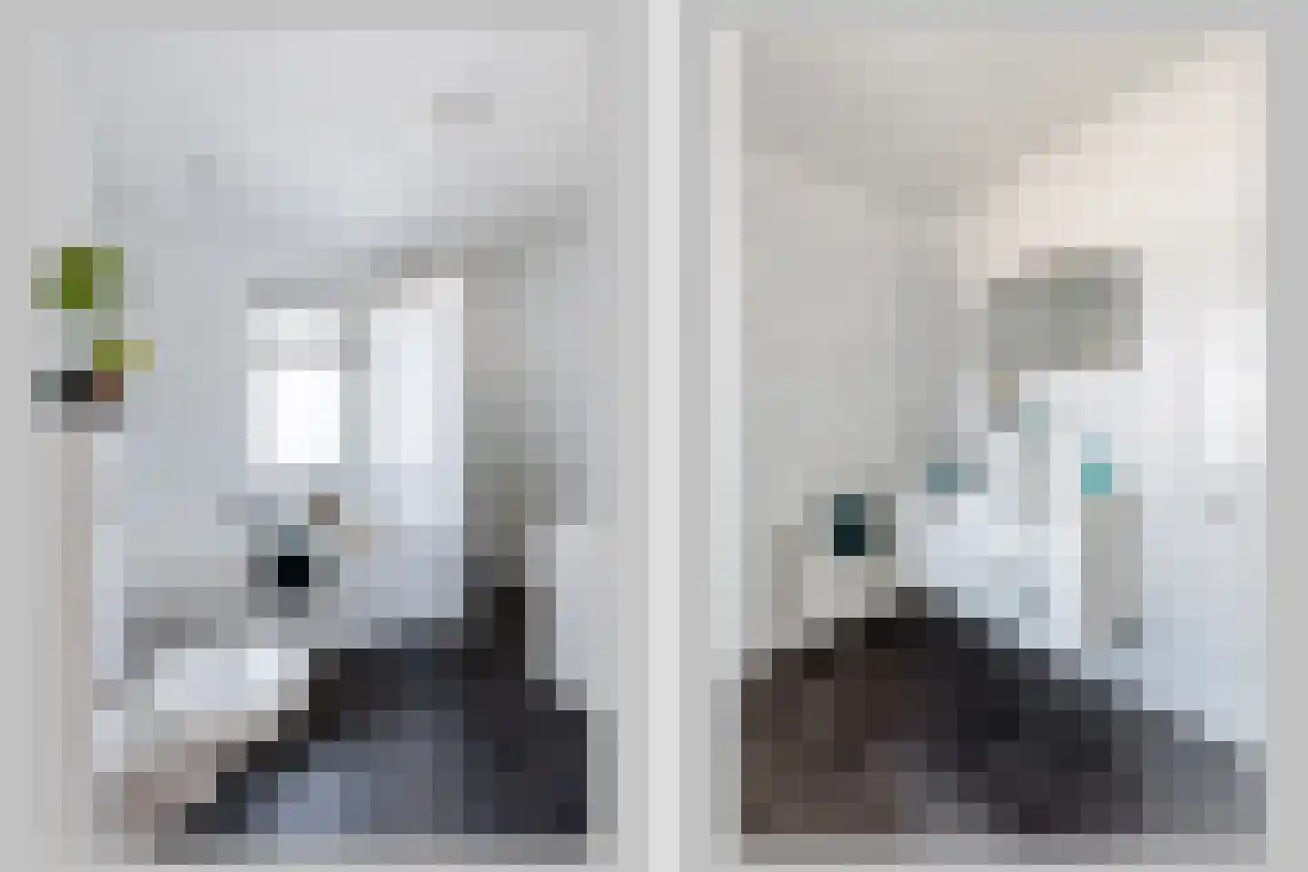 Tureluur 9 Tubbergen thumbnail 12