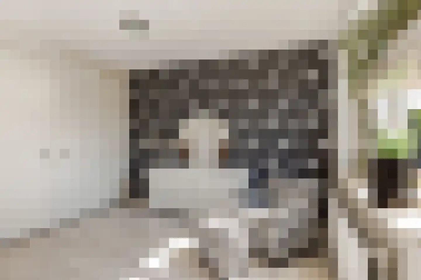 Tureluur 9 Tubbergen thumbnail 14