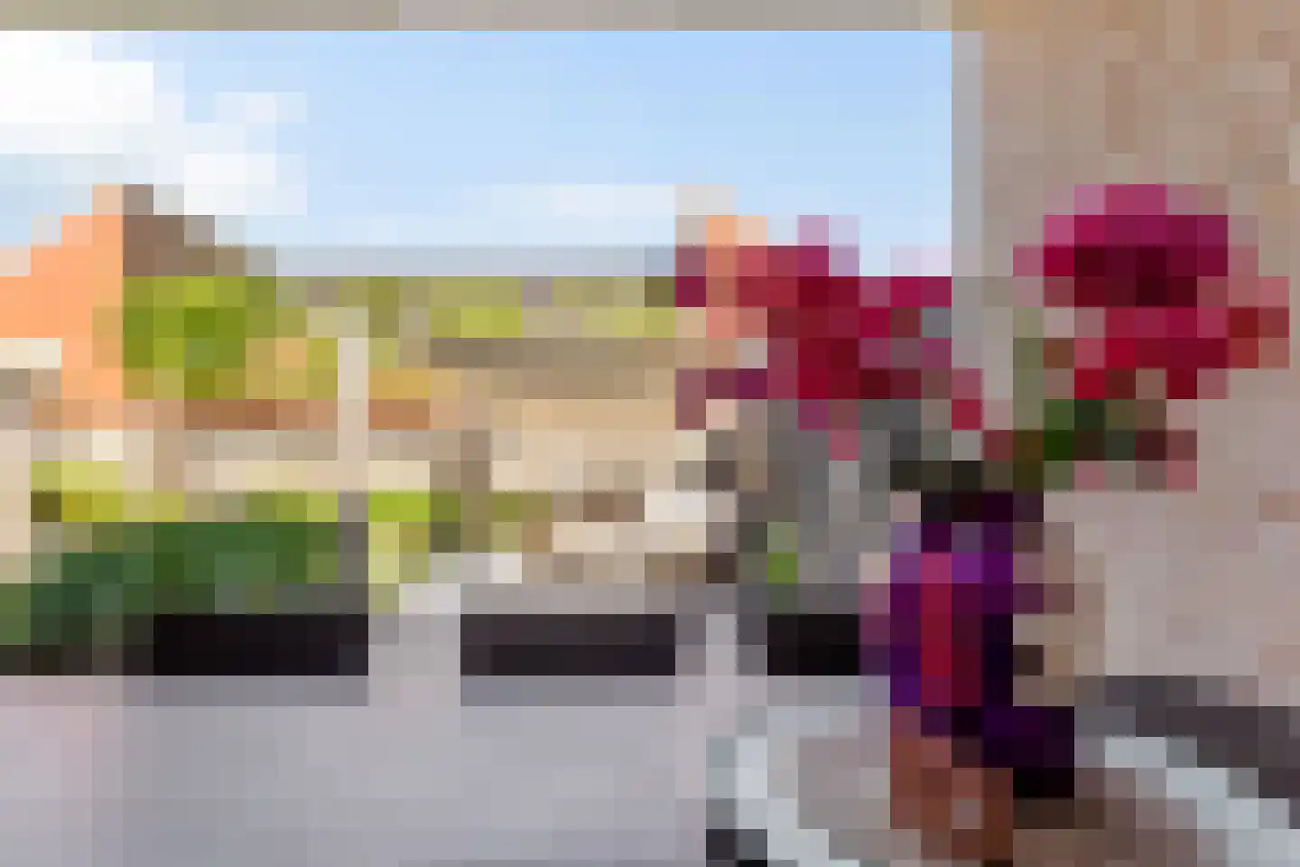 Tureluur 9 Tubbergen thumbnail 18