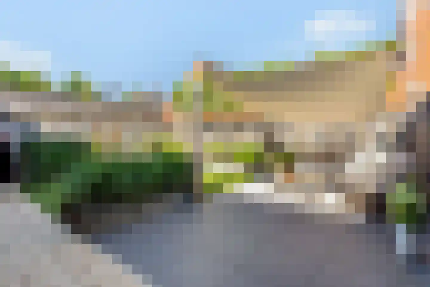 Tureluur 9 Tubbergen thumbnail 20