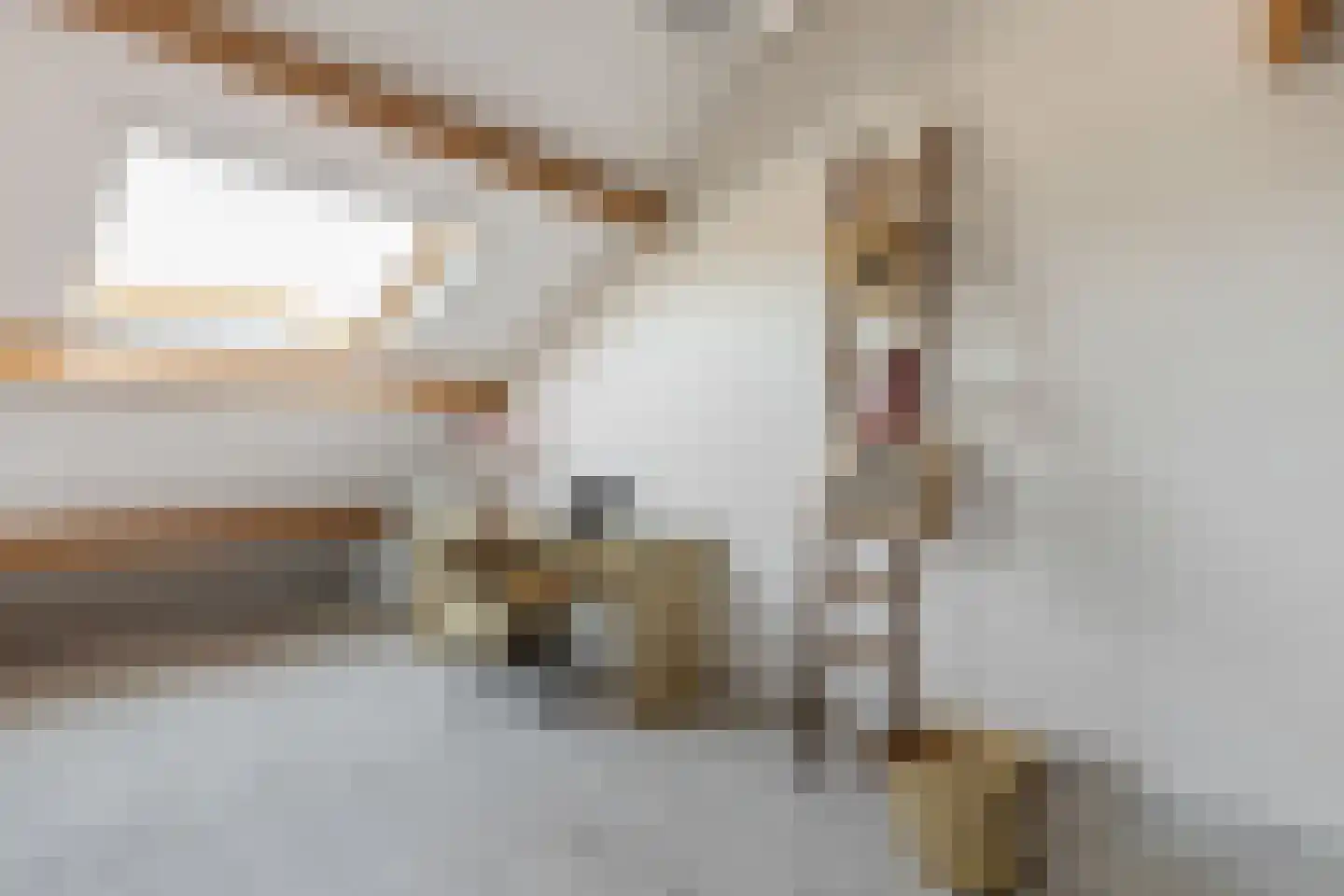 Tureluur 9 Tubbergen thumbnail 5