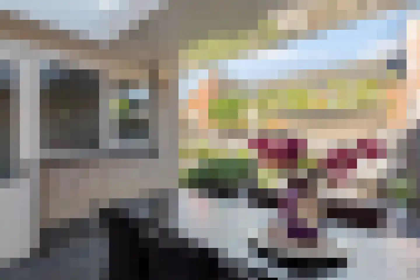 Tureluur 9 Tubbergen thumbnail 7