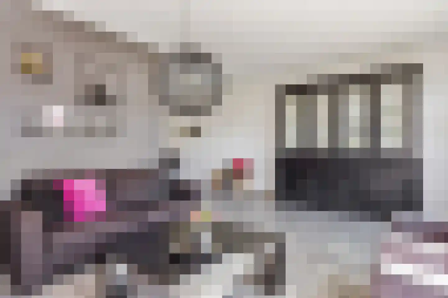 Tureluur 9 Tubbergen thumbnail 7