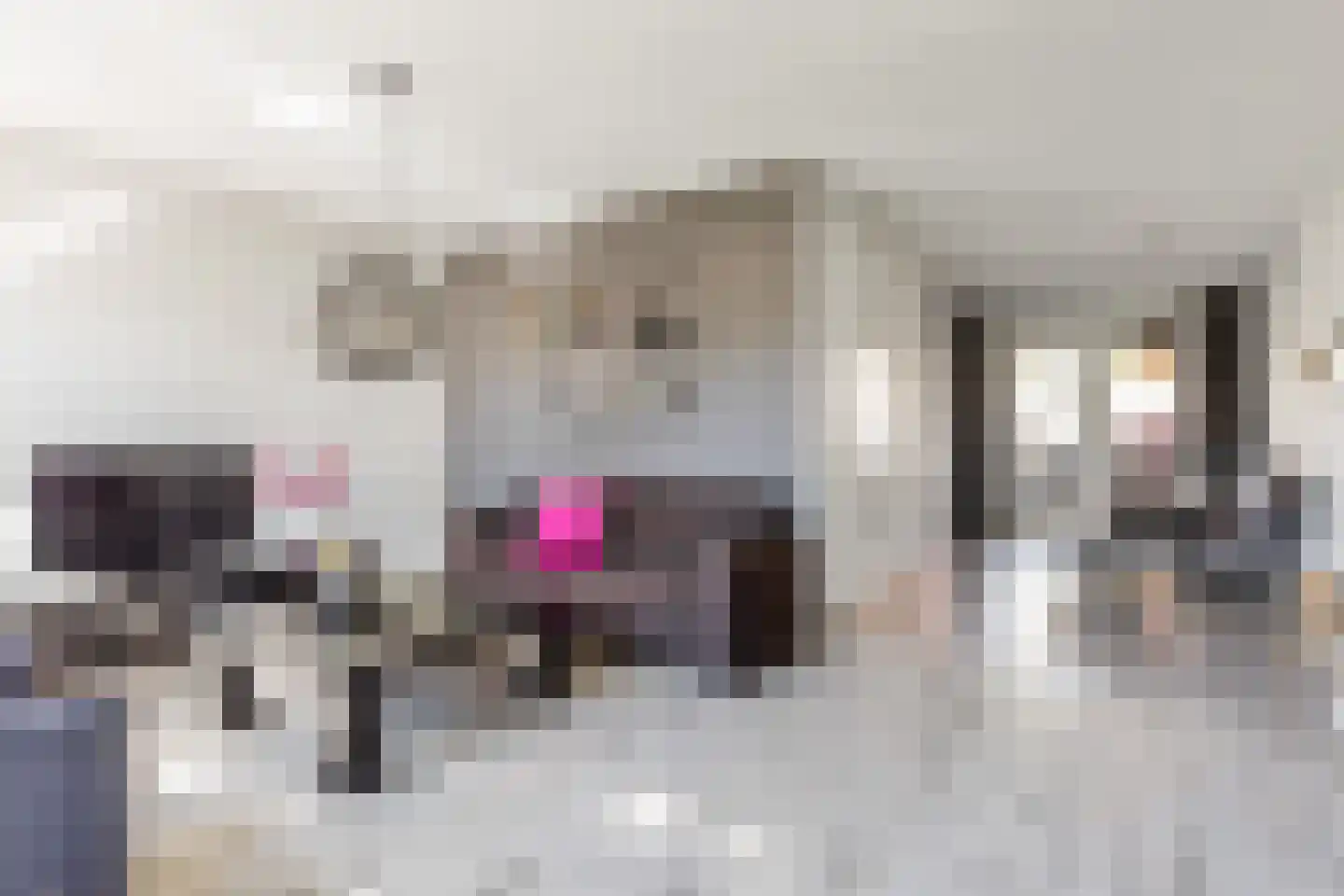 Tureluur 9 Tubbergen thumbnail 8
