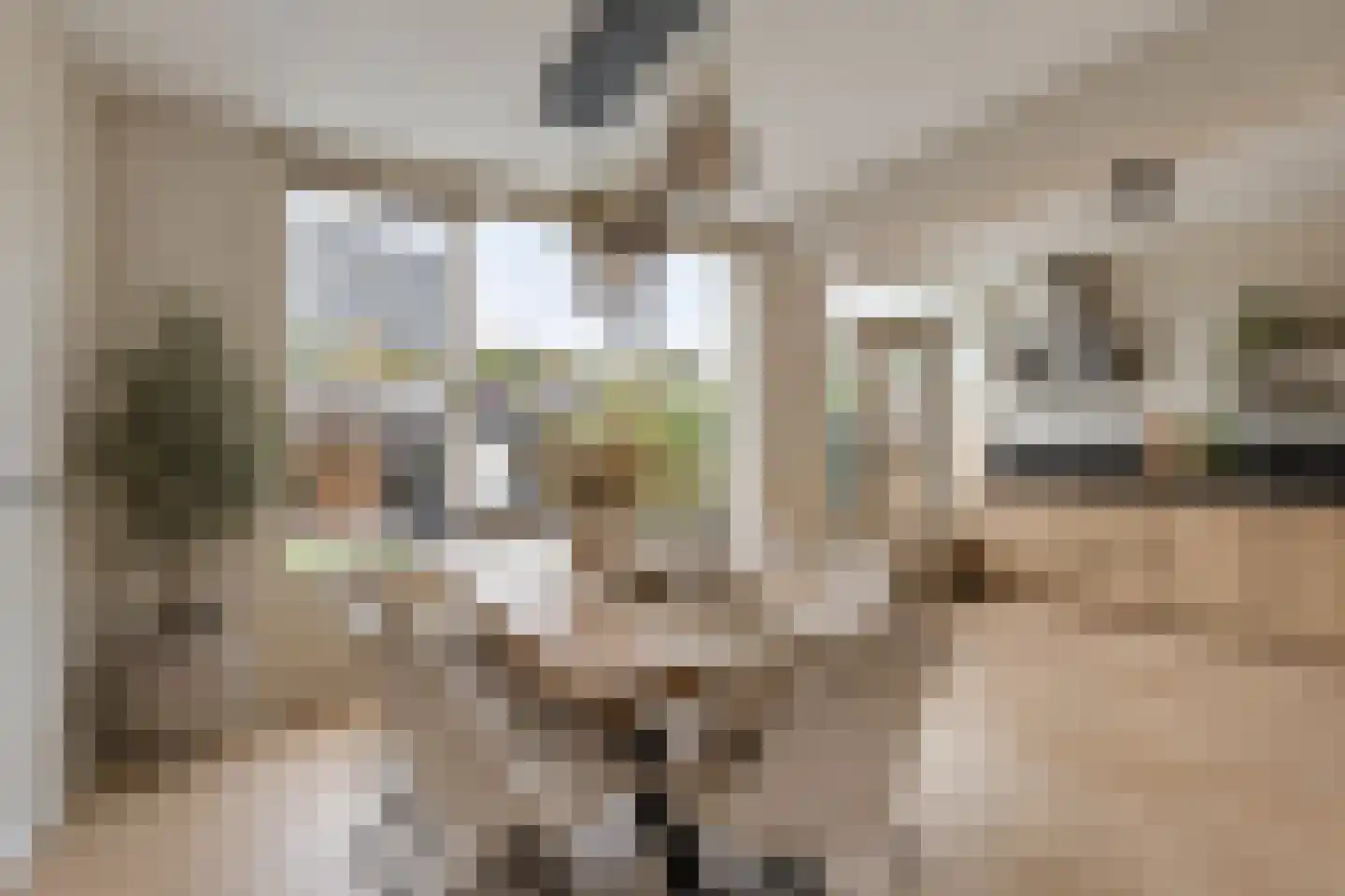 Tureluurhof 27 Purmerend thumbnail 12