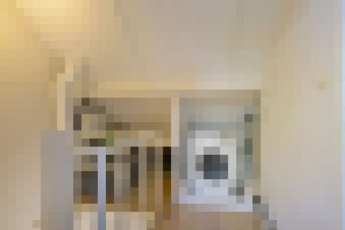 Tureluurhof 27 Purmerend thumbnail 24
