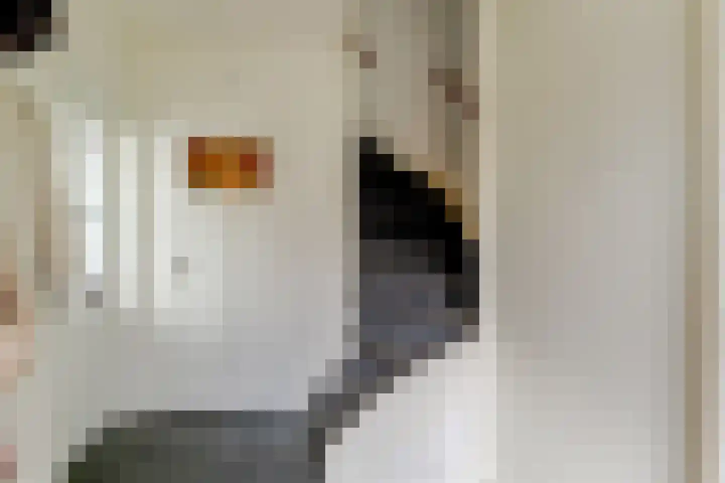 Tureluurhof 29 Purmerend thumbnail 19