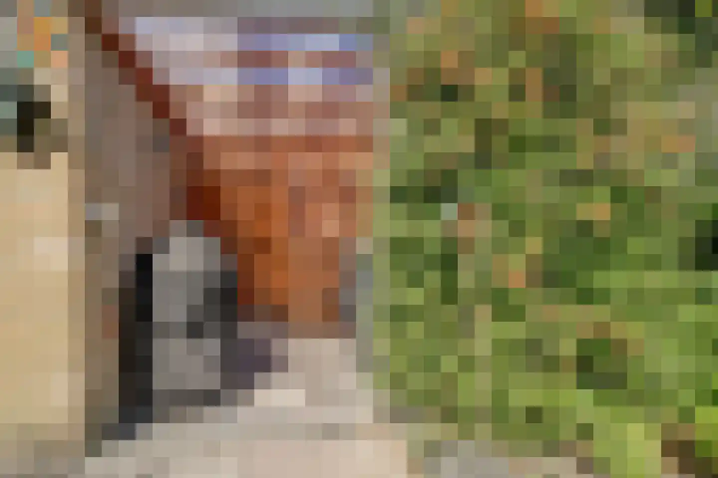 Tureluurhof 29 Purmerend thumbnail 41