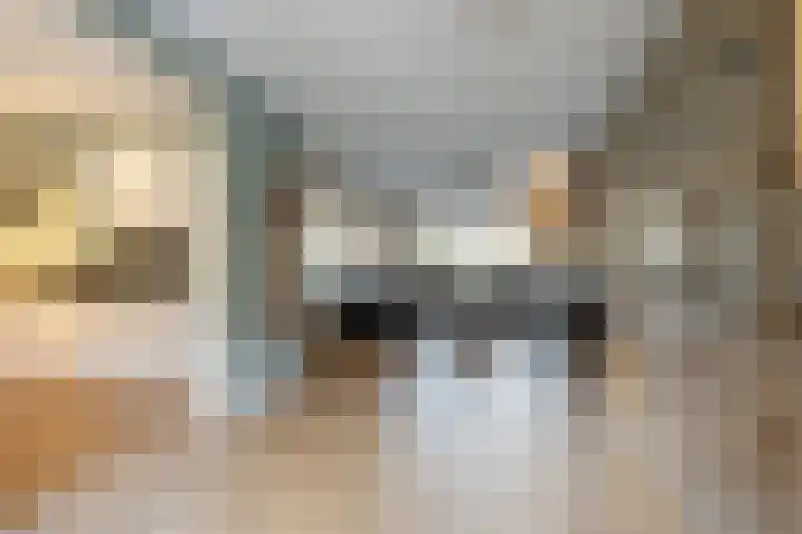 Tureluurhof 52 Purmerend thumbnail 18