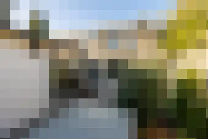 Tureluurhof 52 Purmerend thumbnail 43