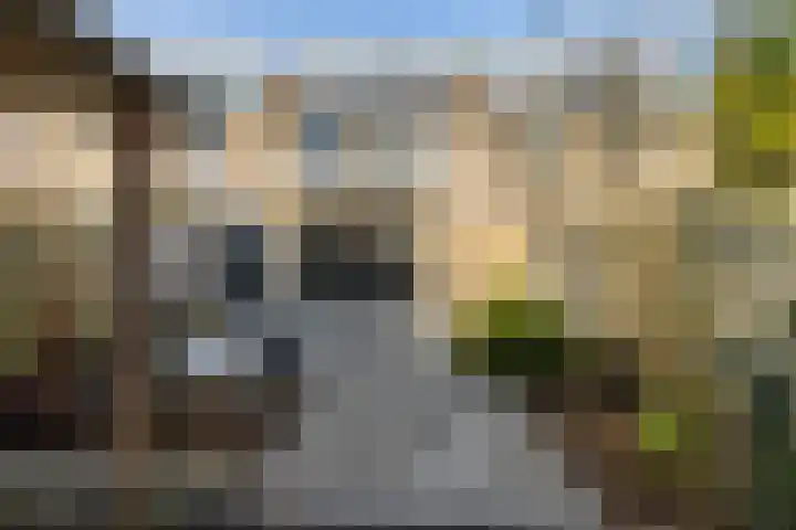 Tureluurhof 52 Purmerend thumbnail 44