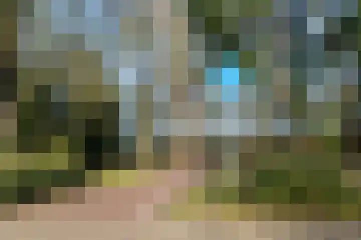 Tureluurhof 52 Purmerend thumbnail 46