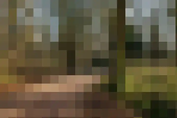 Tureluurhof 52 Purmerend thumbnail 47