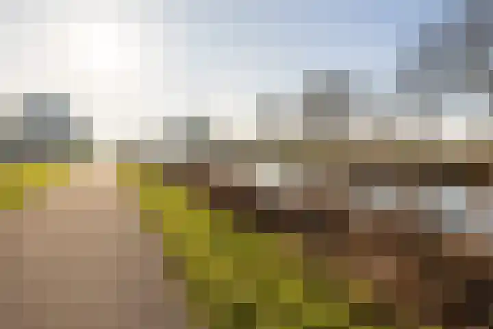 Tureluurhof 52 Purmerend thumbnail 49