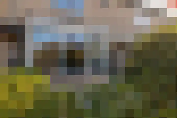 Tureluurhof 52 Purmerend thumbnail 6