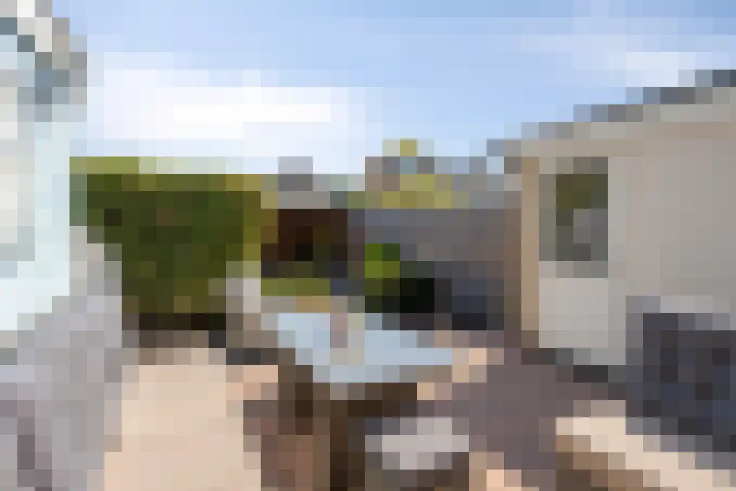 Tureluurhof 68 Purmerend thumbnail 33