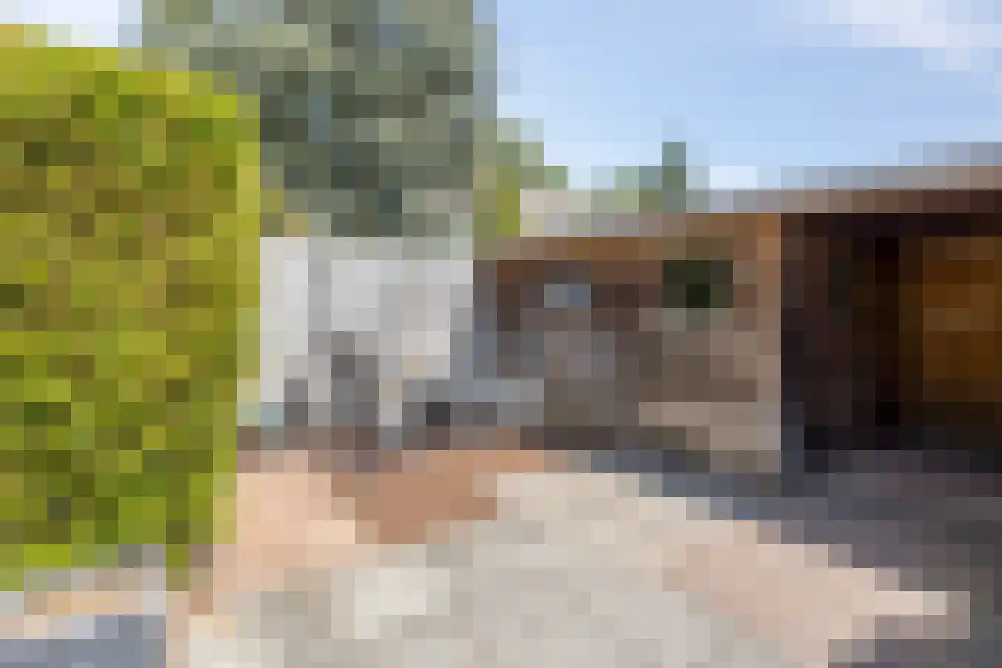Tureluurhof 68 Purmerend thumbnail 36