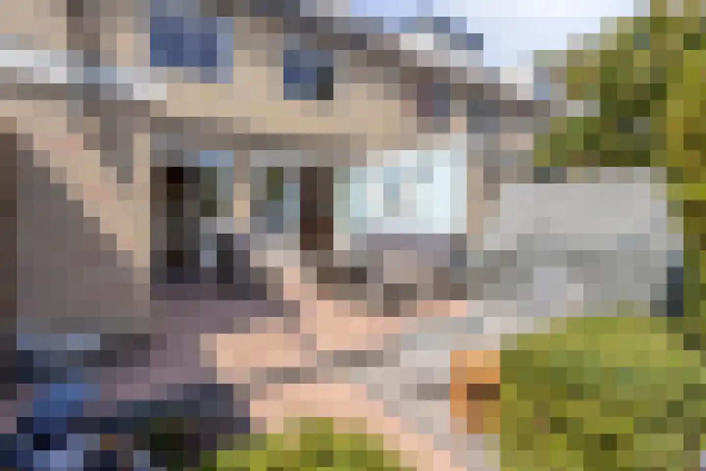 Tureluurhof 68 Purmerend thumbnail 38