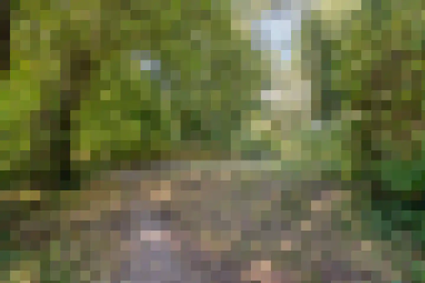 Tureluurhof 68 Purmerend thumbnail 42