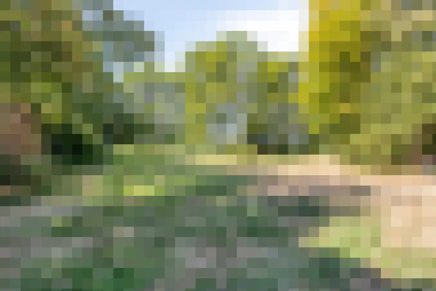 Tureluurhof 68 Purmerend thumbnail 44