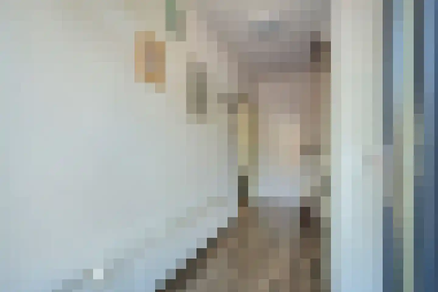 Tureluurhof 68 Purmerend thumbnail 7