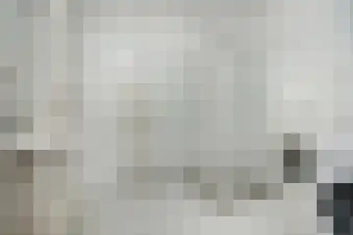 Tureluurlaan 19 Den Haag thumbnail 14