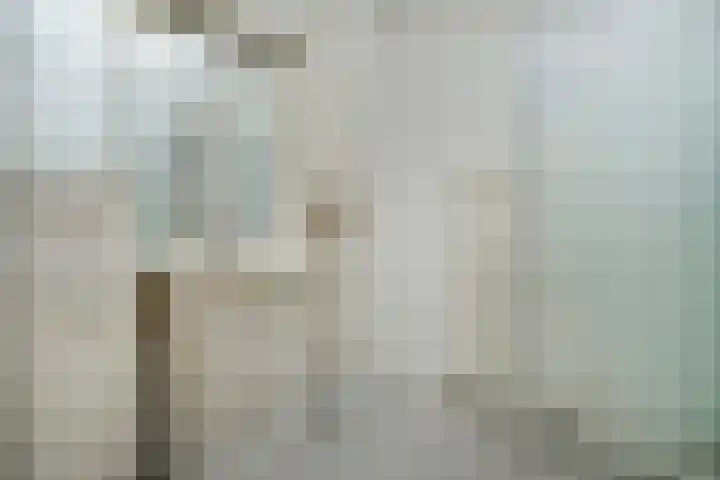 Tureluurlaan 19 Den Haag thumbnail 15