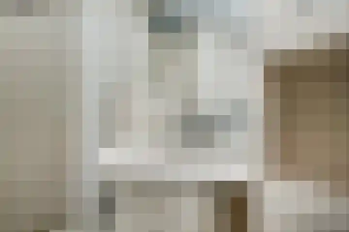 Tureluurlaan 19 Den Haag thumbnail 17
