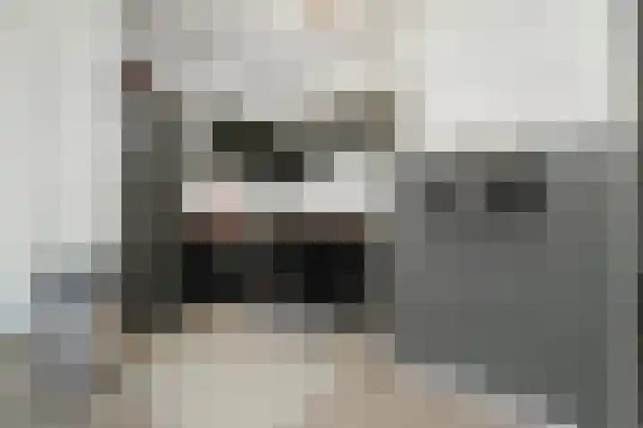 Tureluurlaan 19 Den Haag thumbnail 19