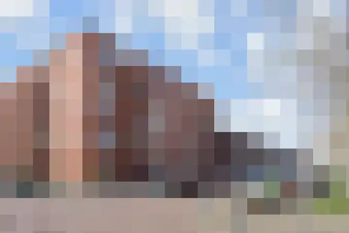 Tureluurlaan 19 Den Haag thumbnail 33