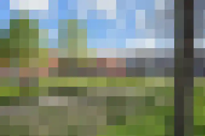 Tureluurlaan 19 Den Haag thumbnail 35