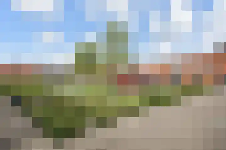 Tureluurlaan 19 Den Haag thumbnail 37