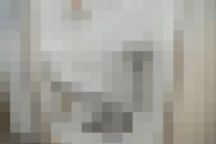 Tureluurlaan 19 Den Haag thumbnail 8
