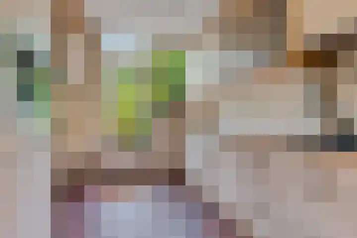 Tureluurlaan 24 Bilthoven thumbnail 11