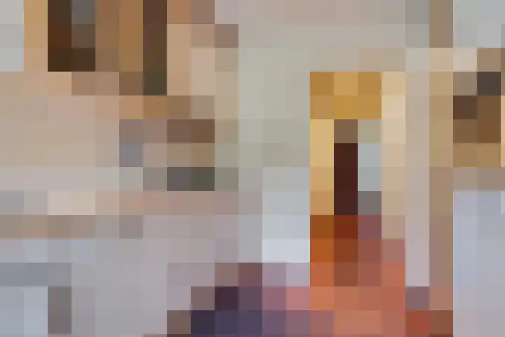 Tureluurlaan 24 Bilthoven thumbnail 12