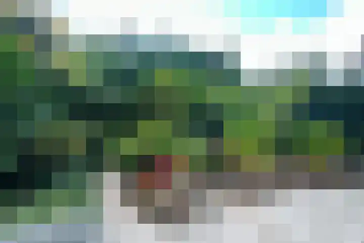 Tureluurlaan 24 Bilthoven thumbnail 27