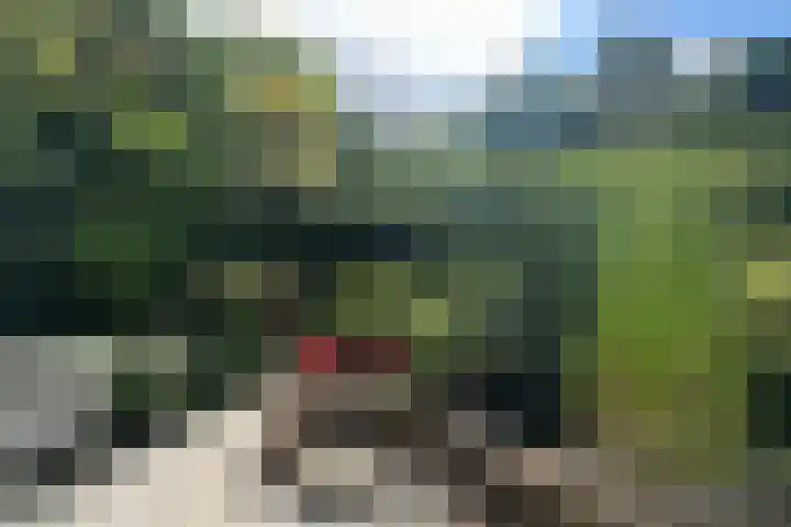 Tureluurlaan 24 Bilthoven thumbnail 28