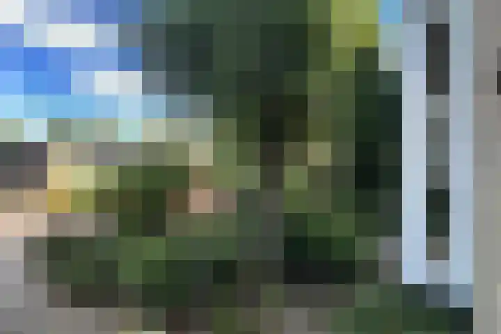 Tureluurlaan 24 Bilthoven thumbnail 29