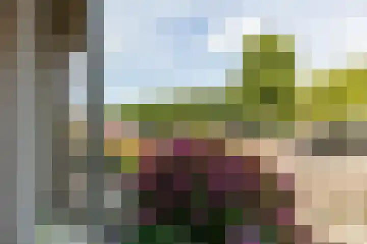 Tureluurshof 14 Enkhuizen thumbnail 13
