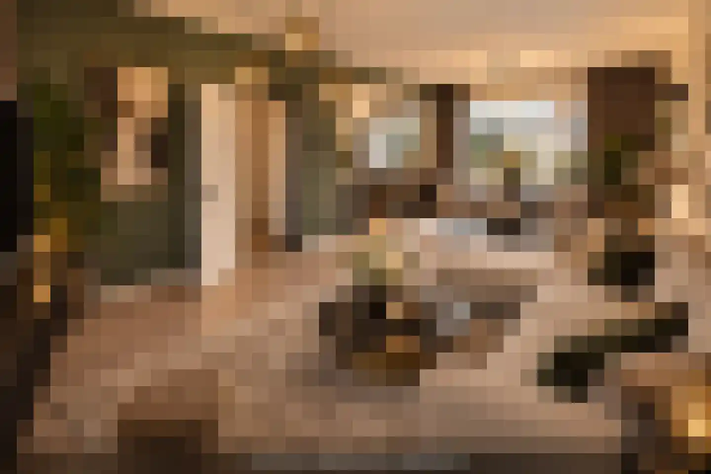 Tureluurshof 15 Enkhuizen thumbnail 18