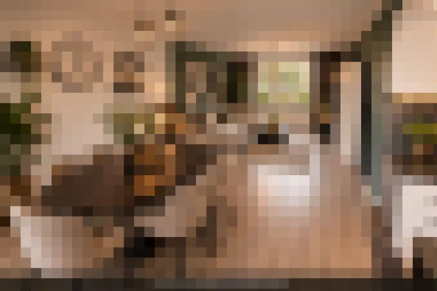Tureluurshof 15 Enkhuizen thumbnail 21