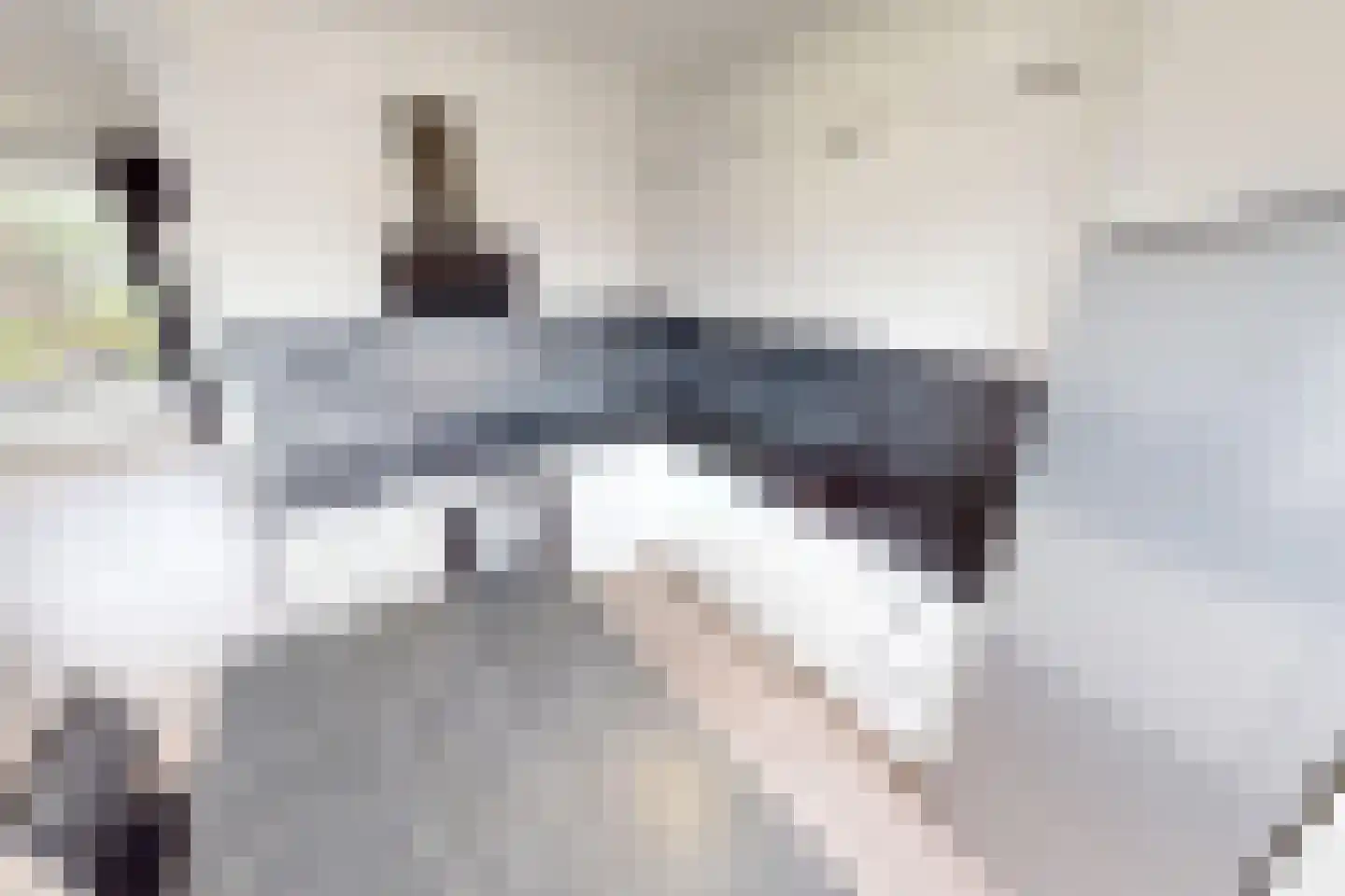 Tureluurshof 15 Enkhuizen thumbnail 24