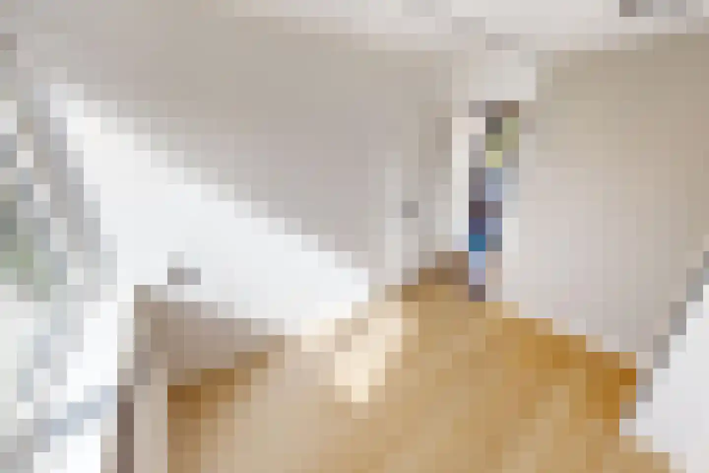 Tureluurshof 15 Enkhuizen thumbnail 30