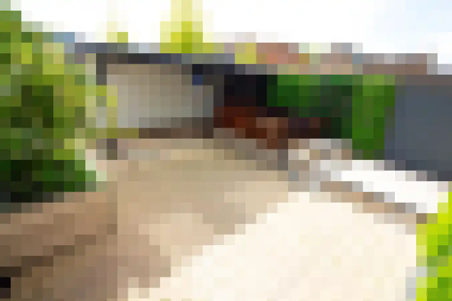 Tureluurshof 15 Enkhuizen thumbnail 49