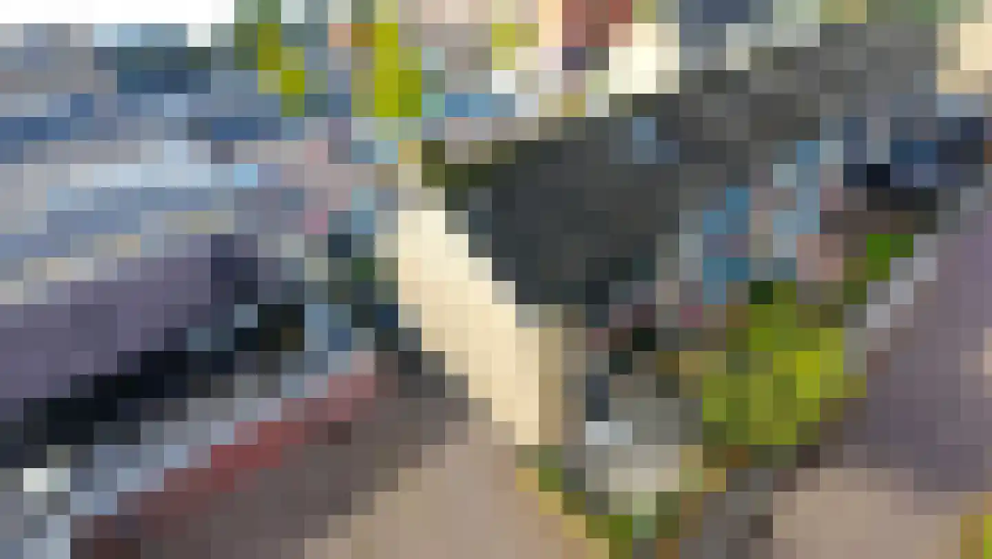 Tureluurshof 15 Enkhuizen thumbnail 6