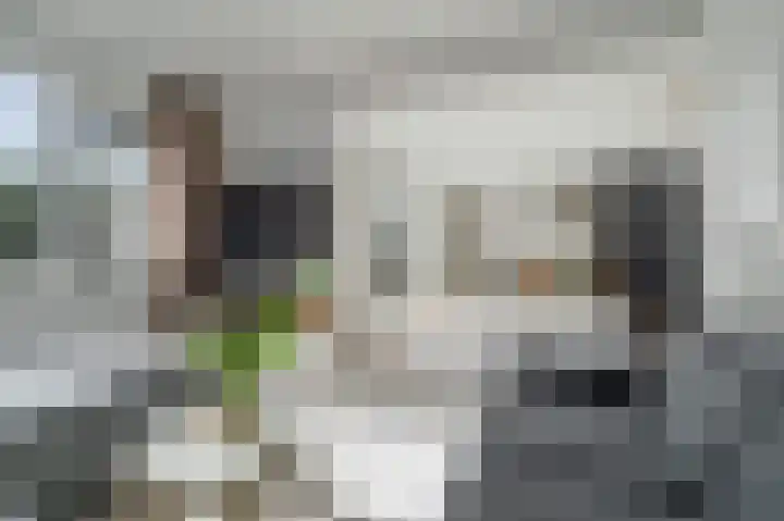 Tureluurweg 90 Diemen thumbnail 6