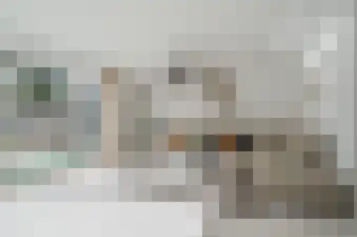 Tureluurweg 90 Diemen thumbnail 8